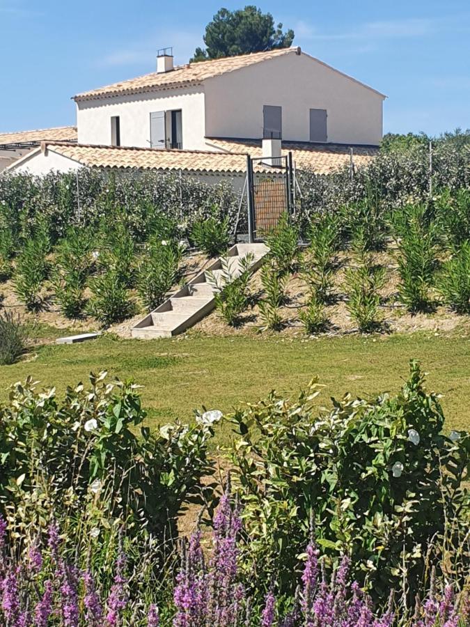 Onze Villa In Provence, Mont Ventoux, New Luxury Villa, Private Pool, Stunning Views, Outdoor Kitchen, Big Green Egg Malaucene Luaran gambar