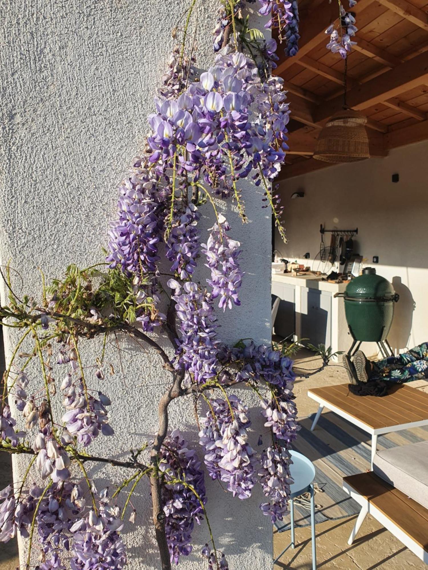 Onze Villa In Provence, Mont Ventoux, New Luxury Villa, Private Pool, Stunning Views, Outdoor Kitchen, Big Green Egg Malaucene Luaran gambar